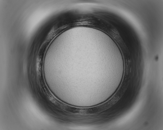 X0000115601438200912011516