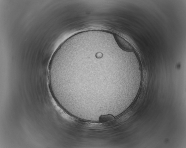 X0000115601439200912011516