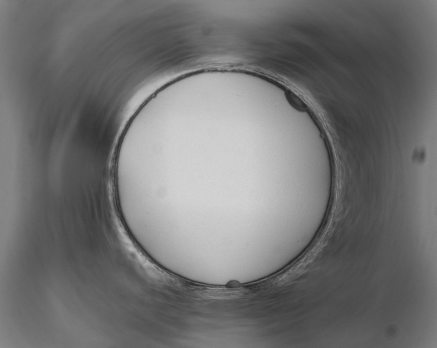 X0000115601440200912011516