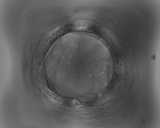 X0000115601441200912011516