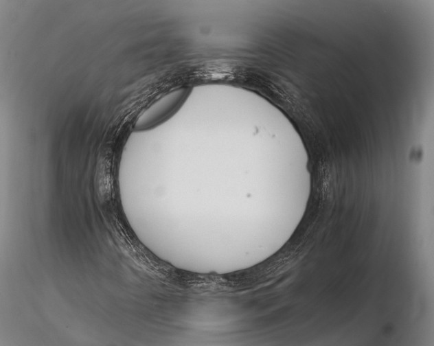 X0000115601442200912011515