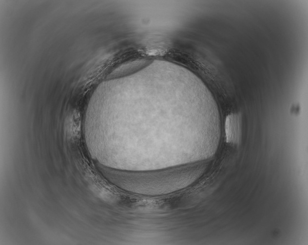 X0000115601443200912011515