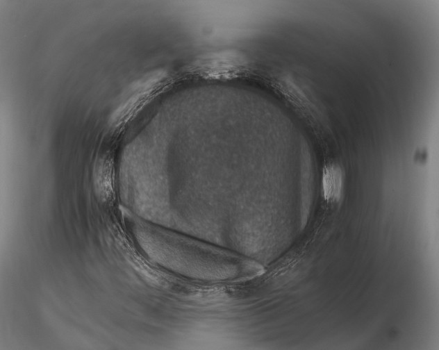 X0000115601444200912011515