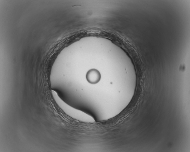 X0000115601445200912011515