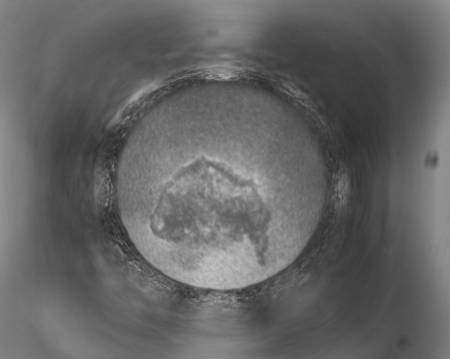 X0000115601446200912011515