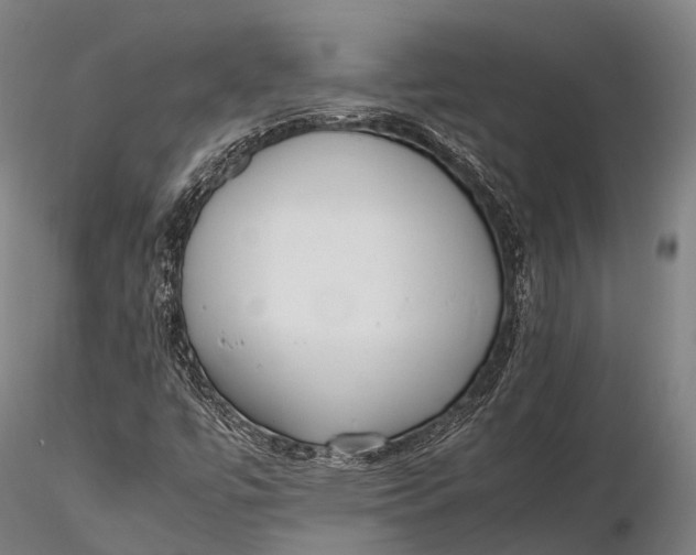 X0000115601447200912011515