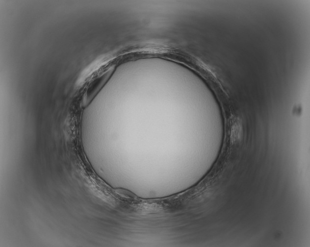 X0000115601448200912011515