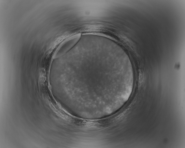 X0000115601449200912011515