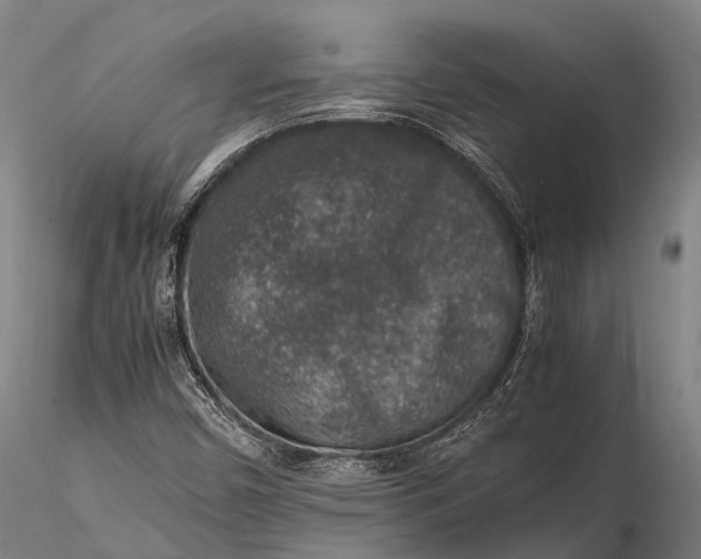 X0000115601450200912011515