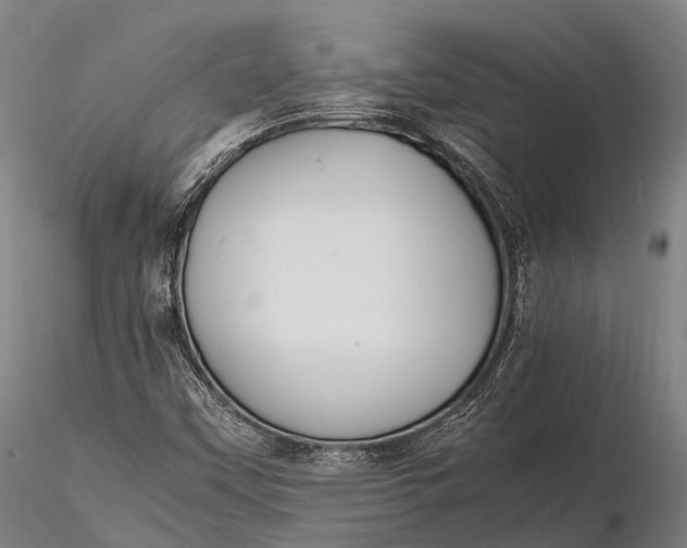 X0000115601451200912011515