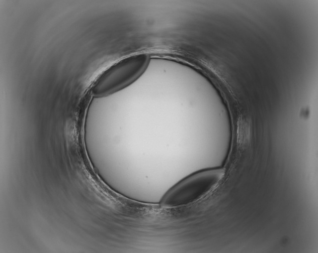 X0000115601452200912011515