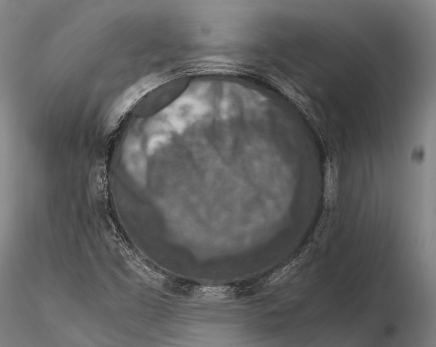 X0000115601453200912011515