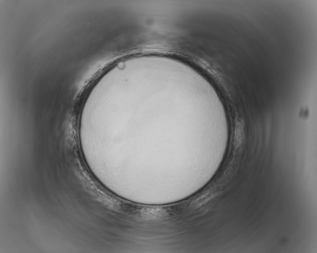 X0000115601454200912011515