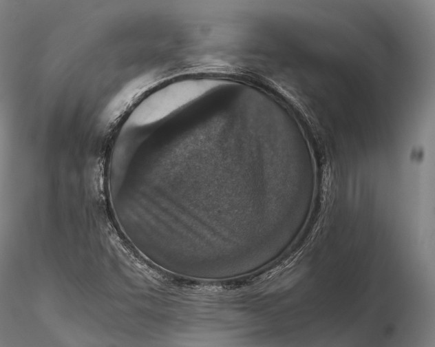 X0000115601455200912011515