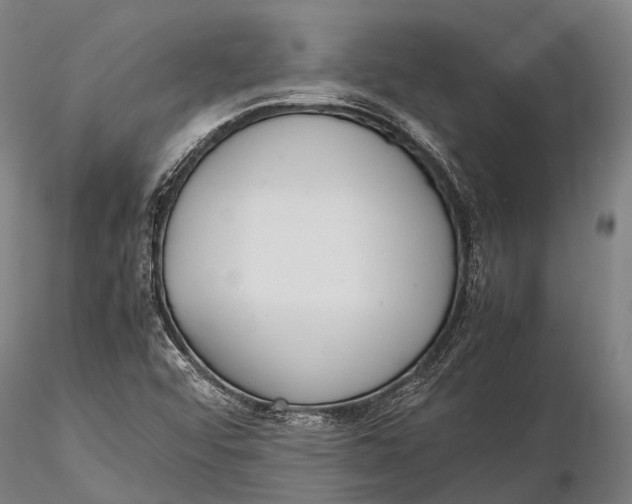 X0000115601456200912011515