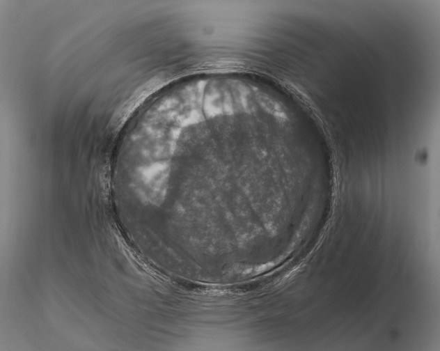 X0000115601457200912011515