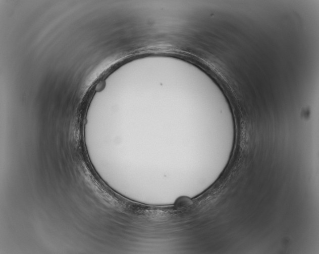 X0000115601458200912011515