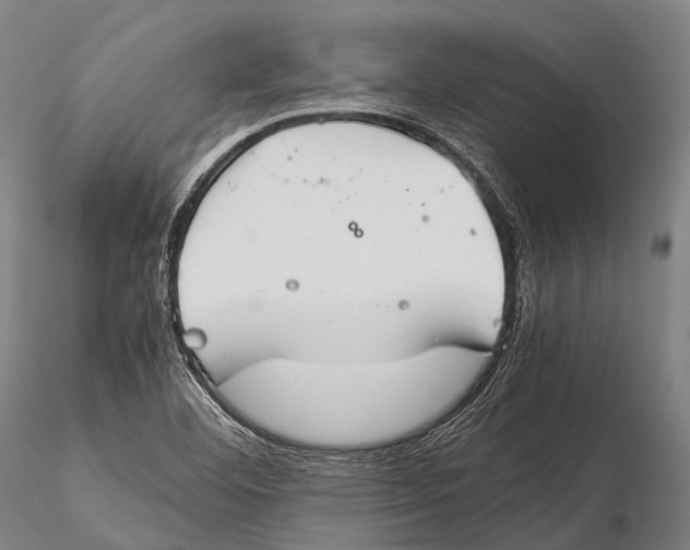 X0000115601460200912011515