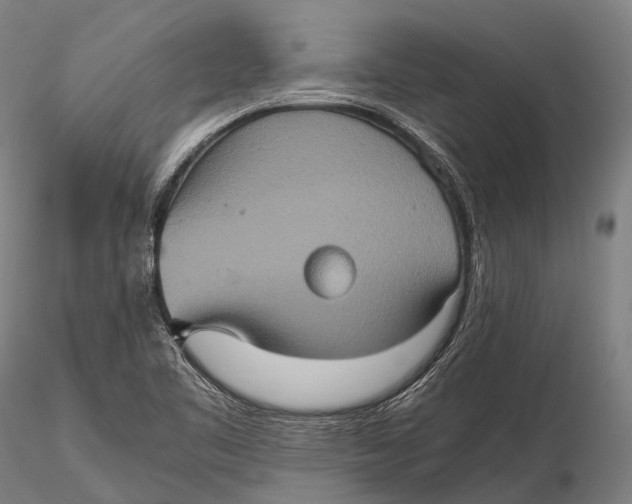 X0000115601461200912011515