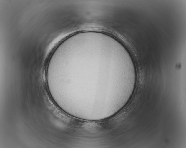 X0000115601462200912011515