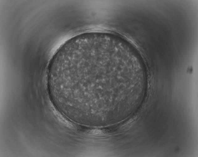 X0000115601463200912011515