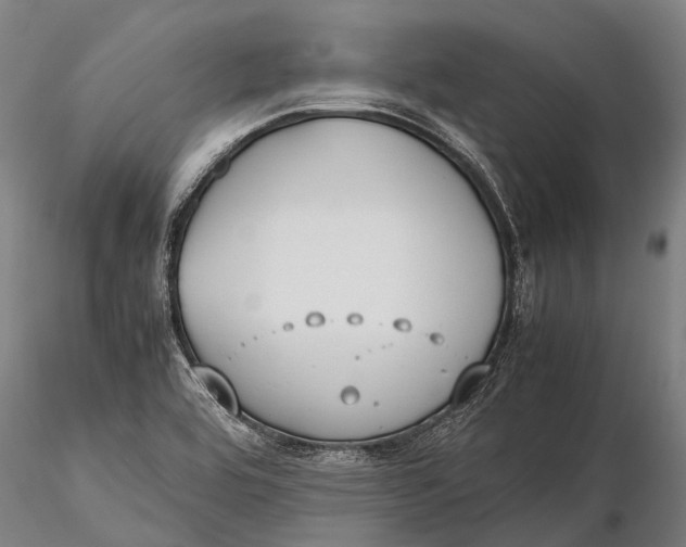 X0000115601464200912011515