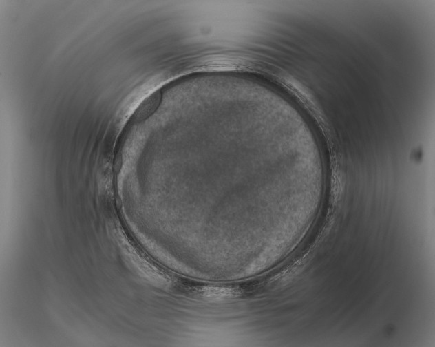 X0000115601465200912011515