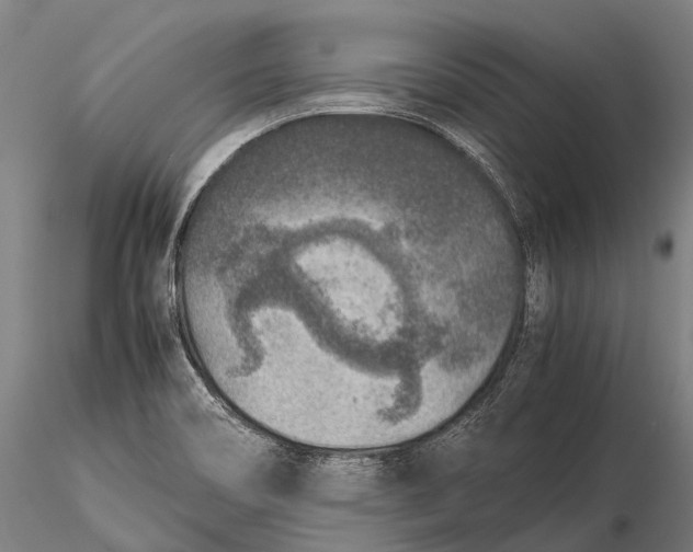 X0000115601466200912011515