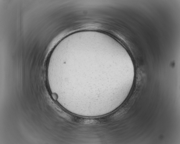 X0000115601467200912011515