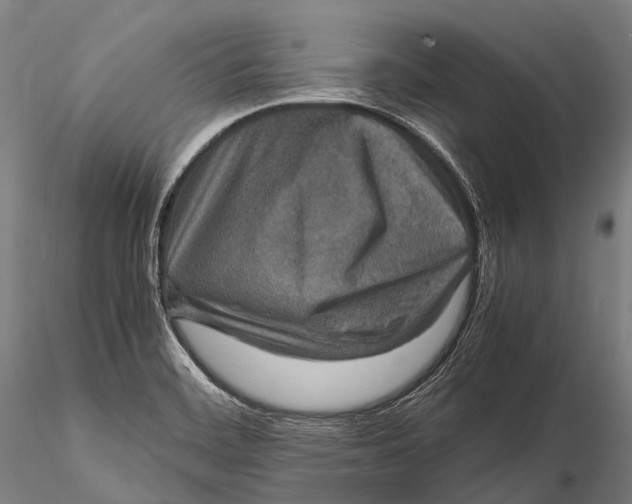 X0000115601468200912011515