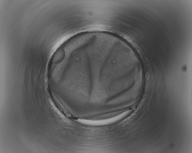 X0000115601469200912011515