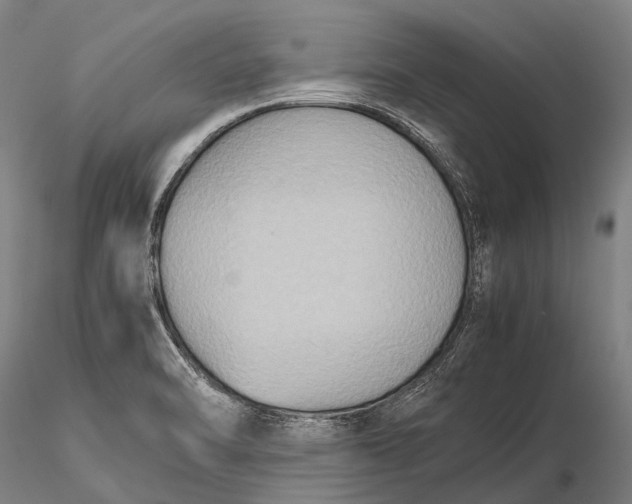 X0000115601470200912011515