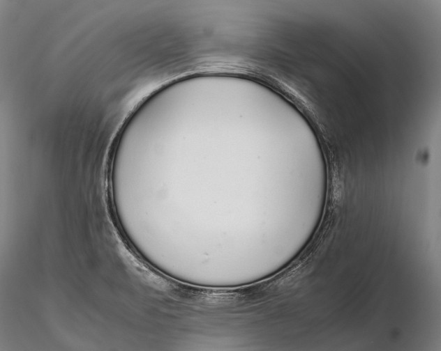 X0000115601471200912011515