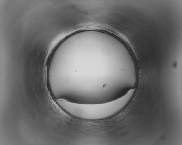 X0000115601472200912011515