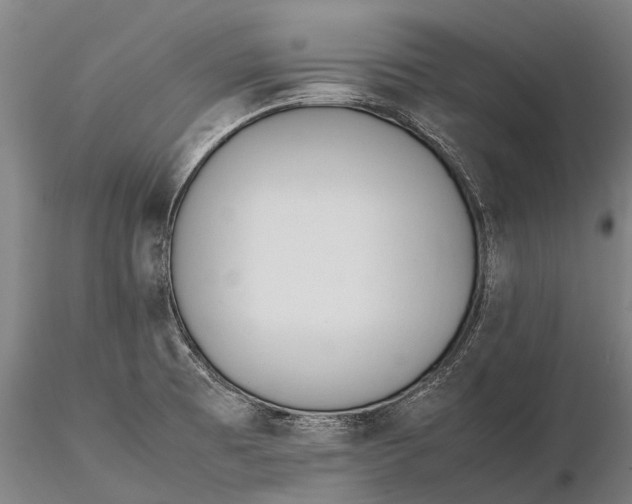 X0000115601473200912011515