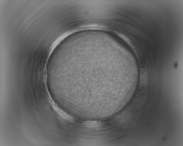 X0000115601474200912011515