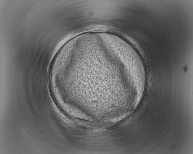 X0000115601475200912011515