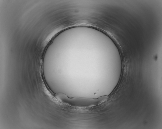 X0000115601476200912011515