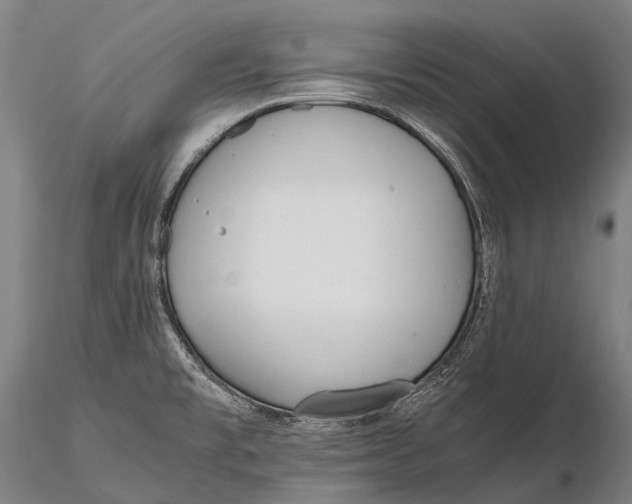 X0000115601477200912011515