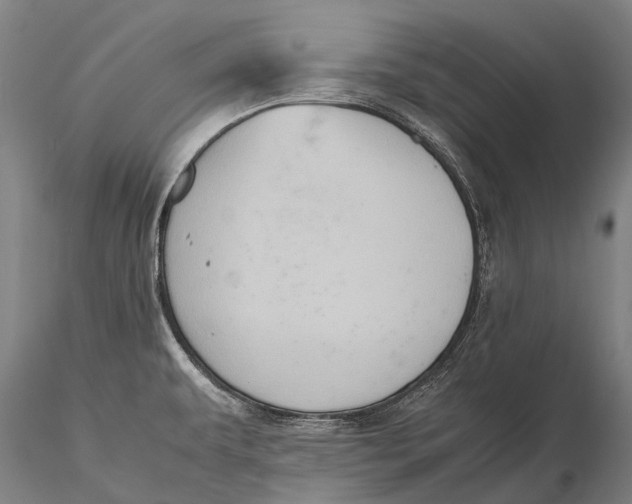 X0000115601479200912011515