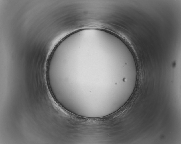 X0000115601480200912011515