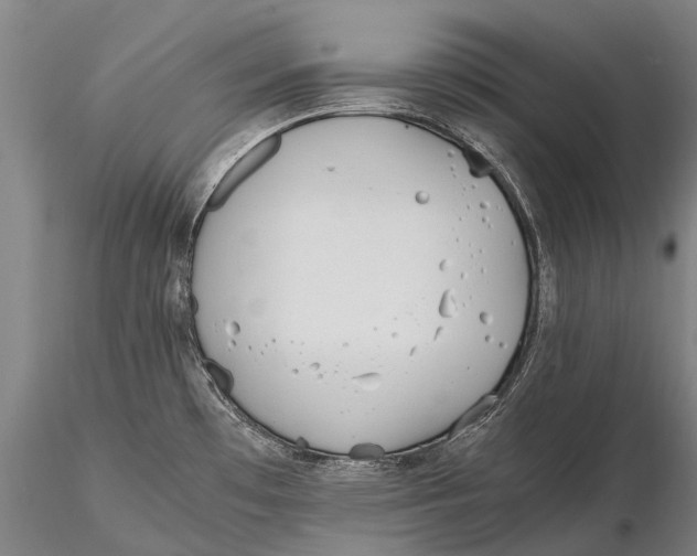 X0000115601481200912011515