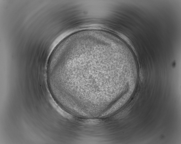 X0000115601482200912011515