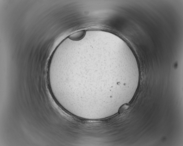 X0000115601483200912011515