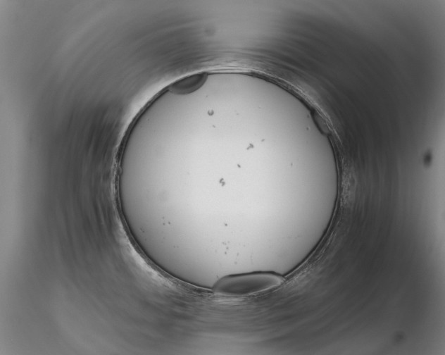 X0000115601484200912011515