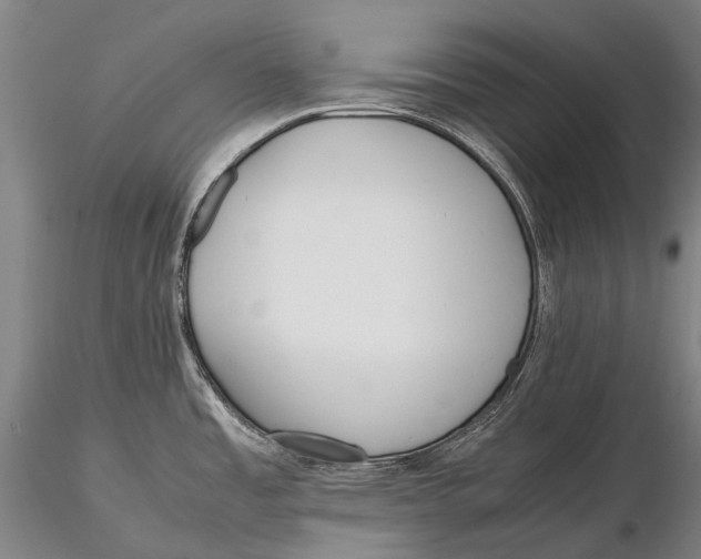 X0000115601485200912011515