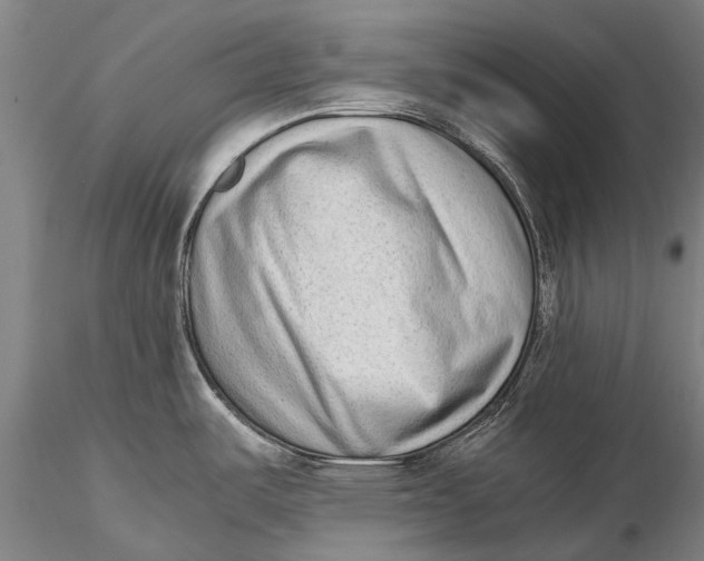 X0000115601487200912011515