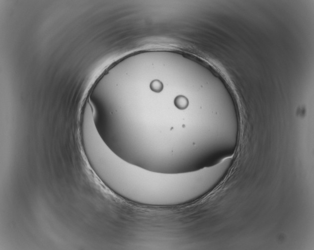 X0000115601488200912011515