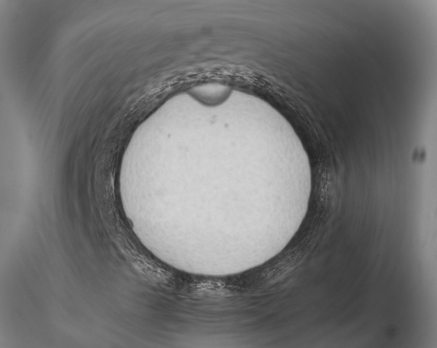 X0000115601489200912011514