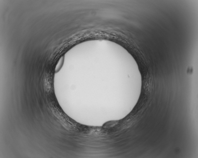 X0000115601490200912011514